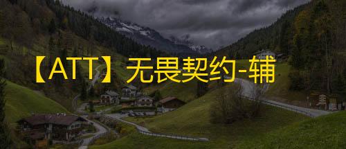 【ATT】无畏契约-辅助