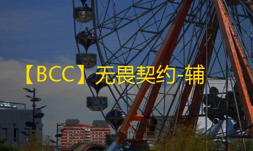 【BCC】无畏契约-辅助