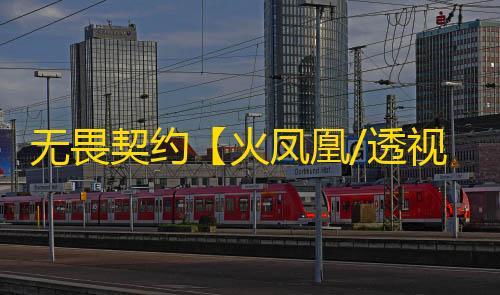 无畏契约【火凤凰/透视/梓喵/支持国服】辅助