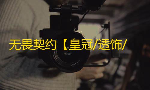 无畏契约【皇冠/透饰/梓喵/仅支持国服】辅助