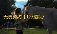 无畏契约【T2/透视/梓喵】辅助