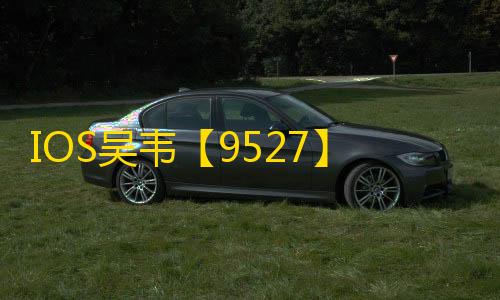 IOS吴韦【9527】外挂