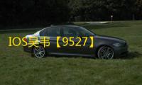 IOS吴韦【9527】外挂